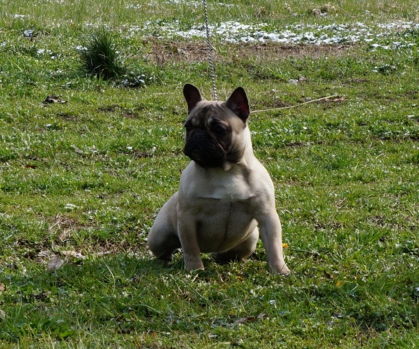 https://www.ibiscoblu.it/wordpress/wp-content/uploads/2018/03/DAISY-DI-CASA-IBISCOBLU-MAMMA-CAMILLA-PAP&agrave;-MINI-HEROSZ-XENOSZ-e1520788808484-600x500.jpg
